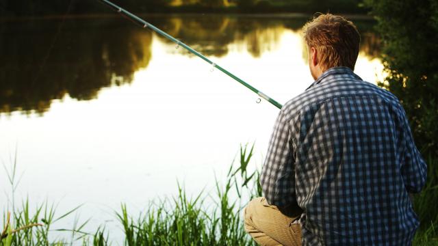 Pêche 2 Libre De Droit