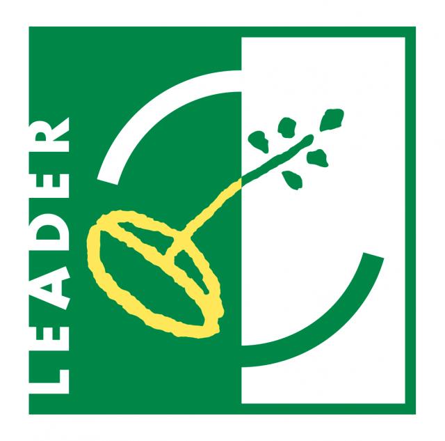 Leader Hdprint 01 Copie