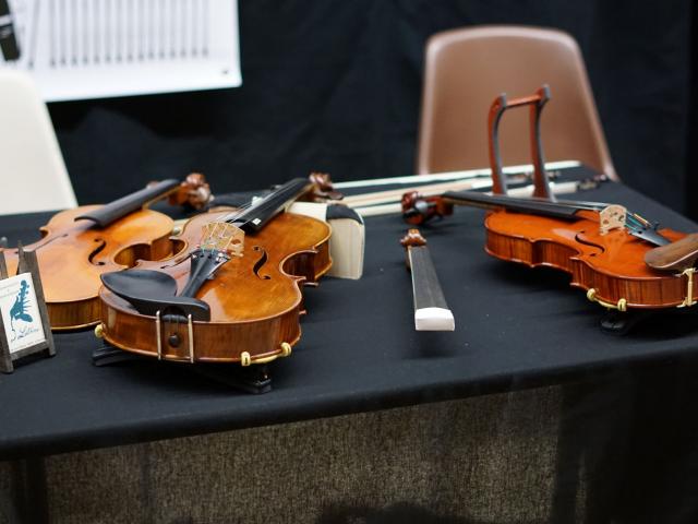 Détails Violon Slam