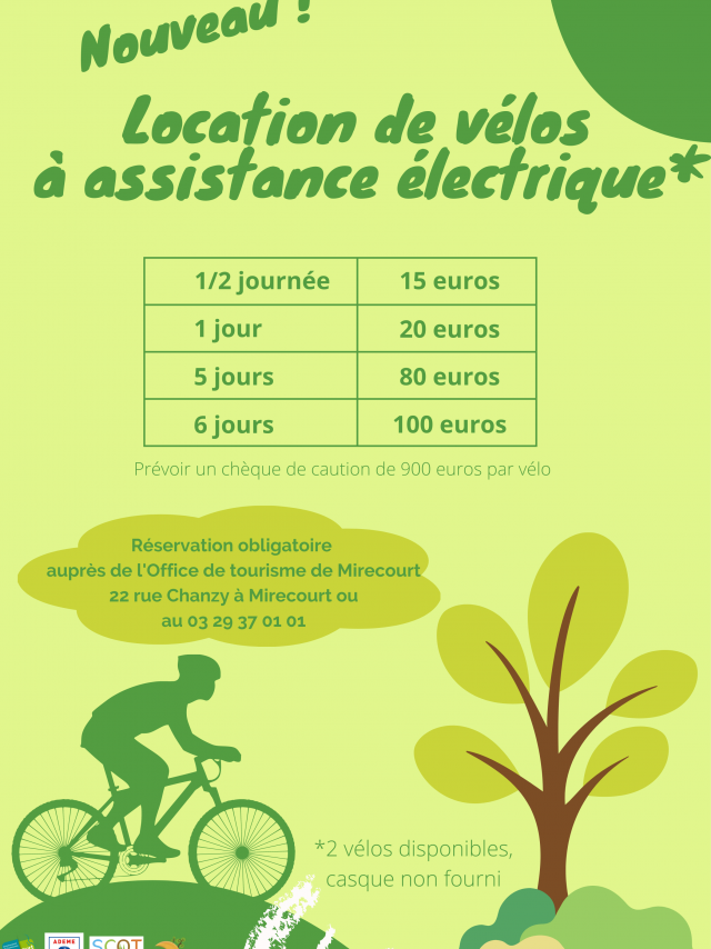 Et si vous essayiez un vélo à assistance électrique ?